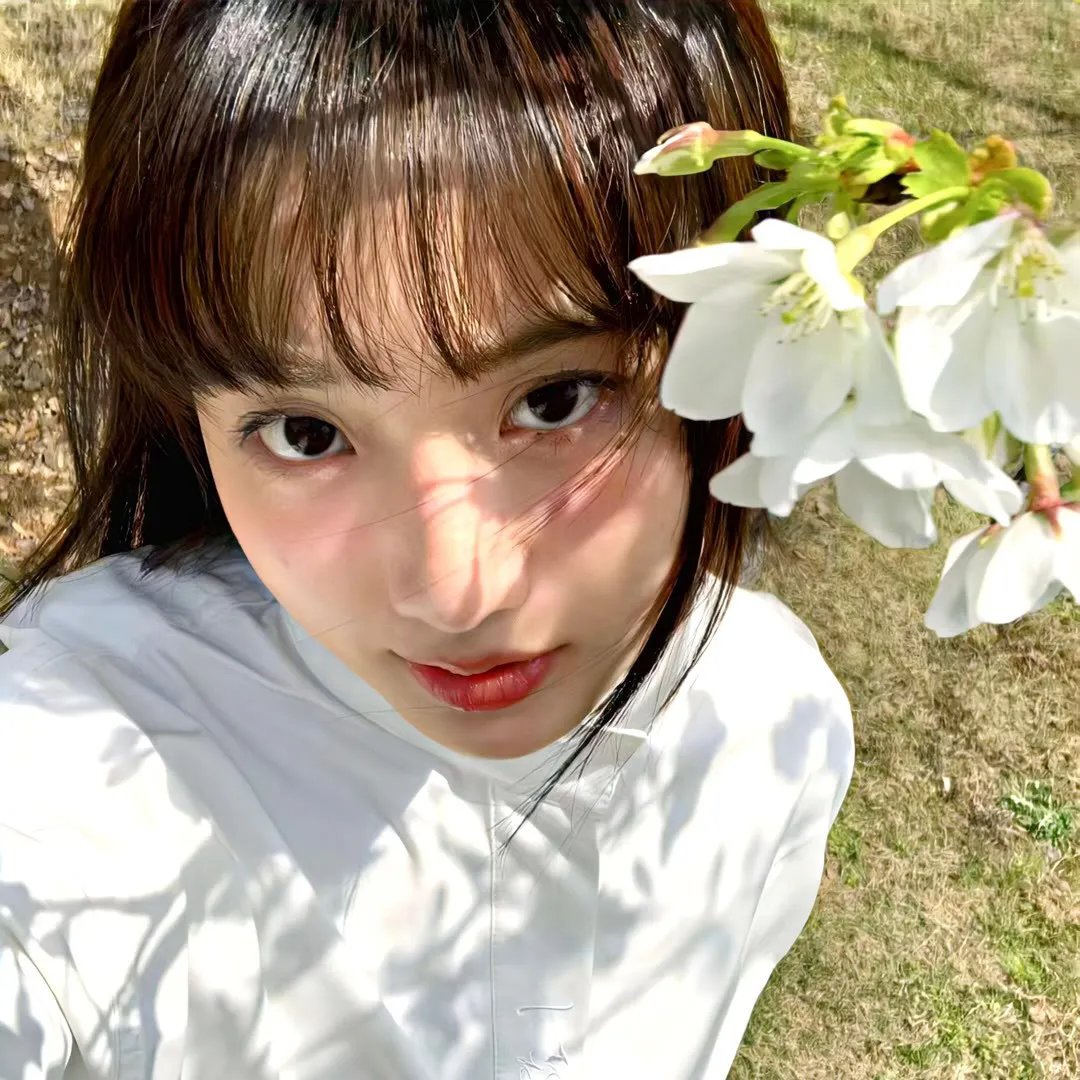玫瑰夫大战玫瑰妻